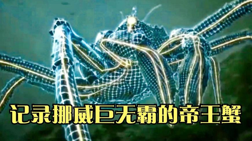 挪威帝王蟹泛滥成灾：随便抓却没人吃的海鲜盛宴