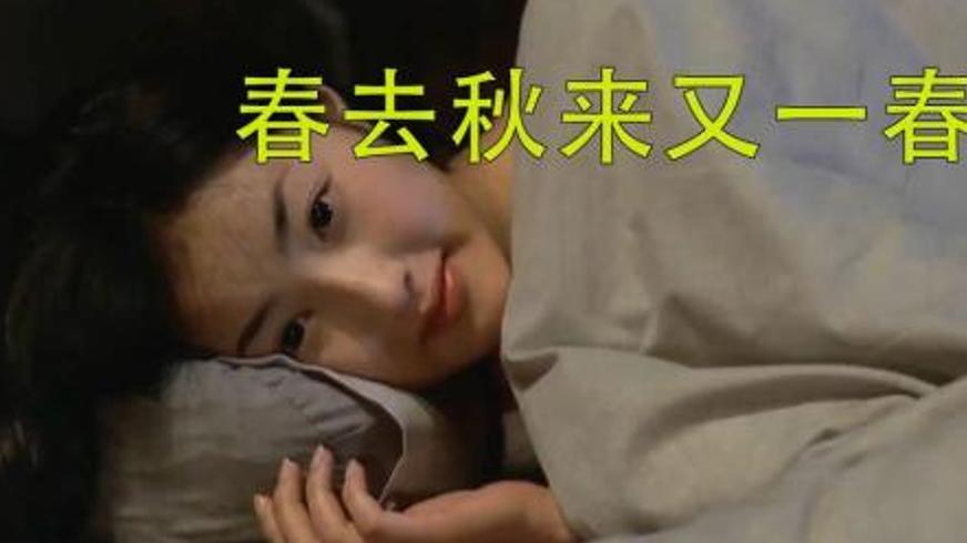 《春夏秋冬又一春》：四季轮回中的修行与罪孽救赎