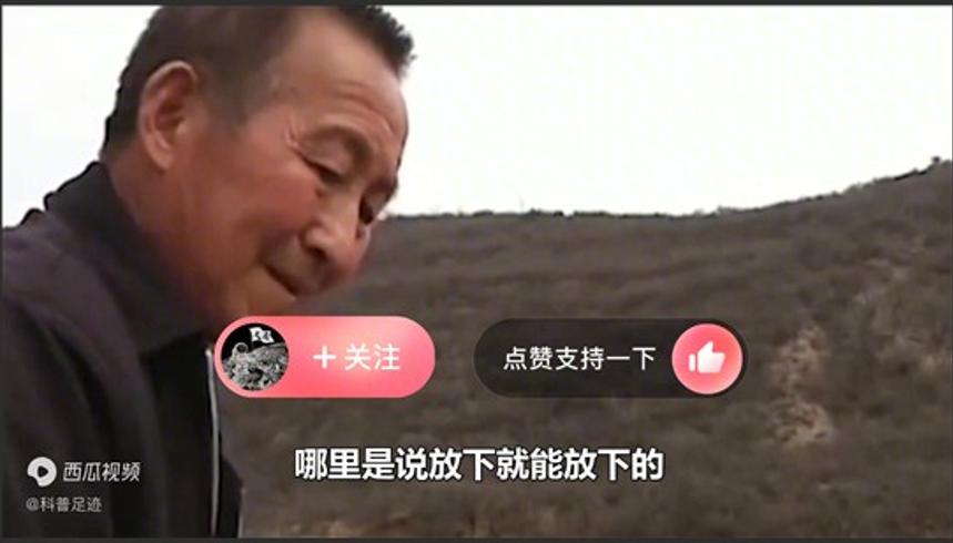 六旬老农深山遇“凤凰” 喂养四年引专家称奇