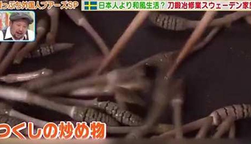 日本刀匠学徒五年零收入 靠挖野菜度日的真实生活