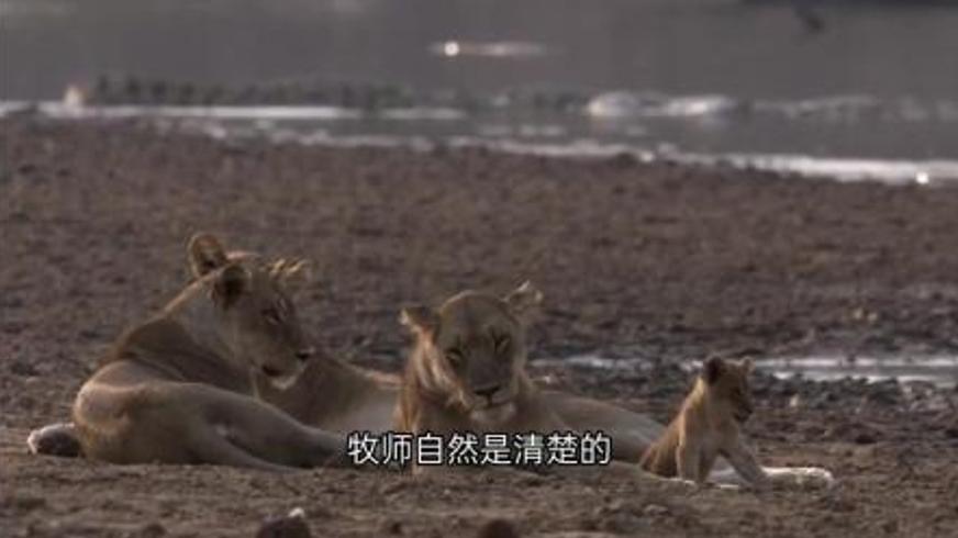 《雄狮2》：战神血脉中的复仇烈焰与亲情悲歌