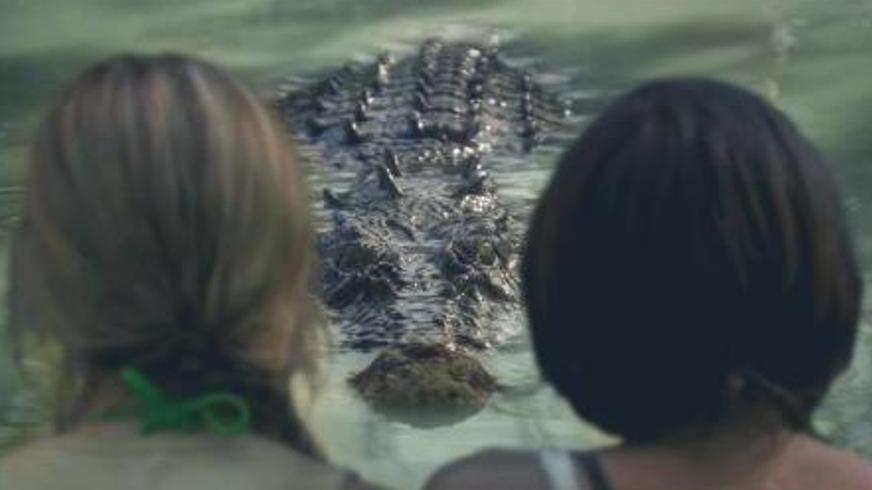 《黑水》：澳大利亚巴里河的致命沼泽求生记