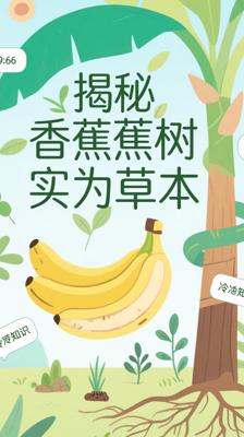 冷知识！你以为的《香蕉树》其实是草本植物
