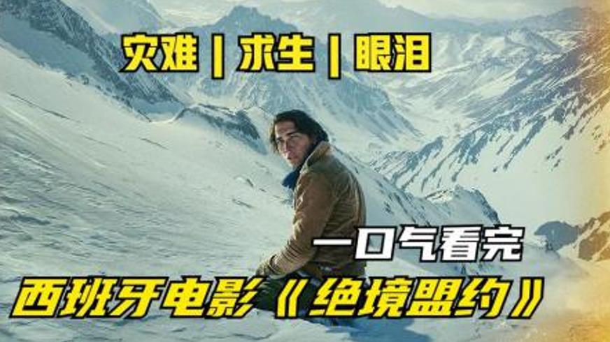 《绝境盟约》：安第斯空难中人性与生存的极限博弈