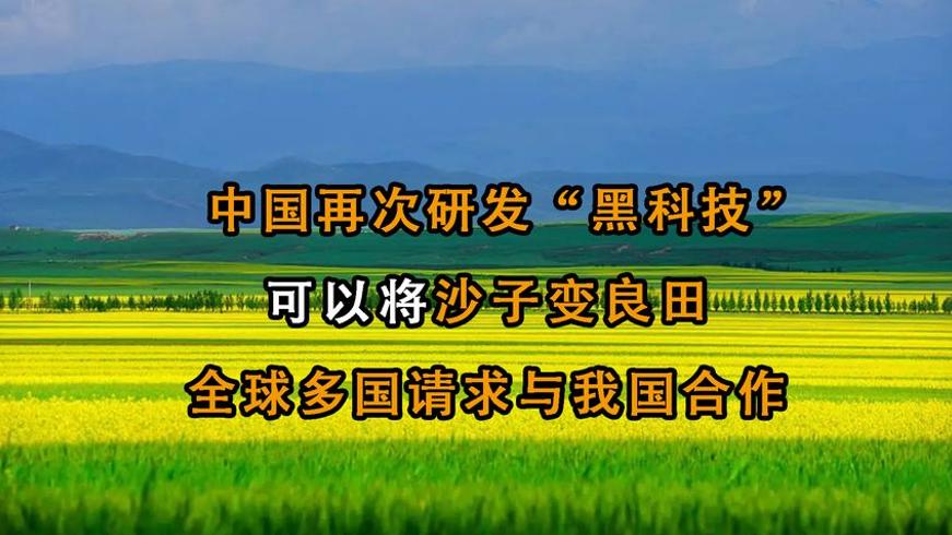 中国黑科技让万顷沙漠变蔬菜园的神奇过程