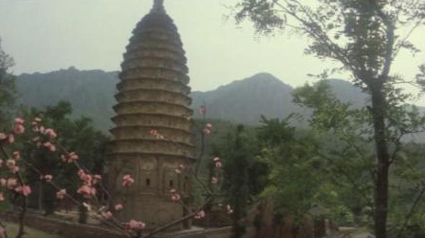 《暗夜守护者》：从平凡信使到吸血鬼猎人的蜕变