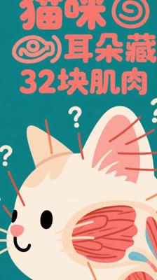震惊！猫咪耳朵竟藏着32块肌肉的秘密武器