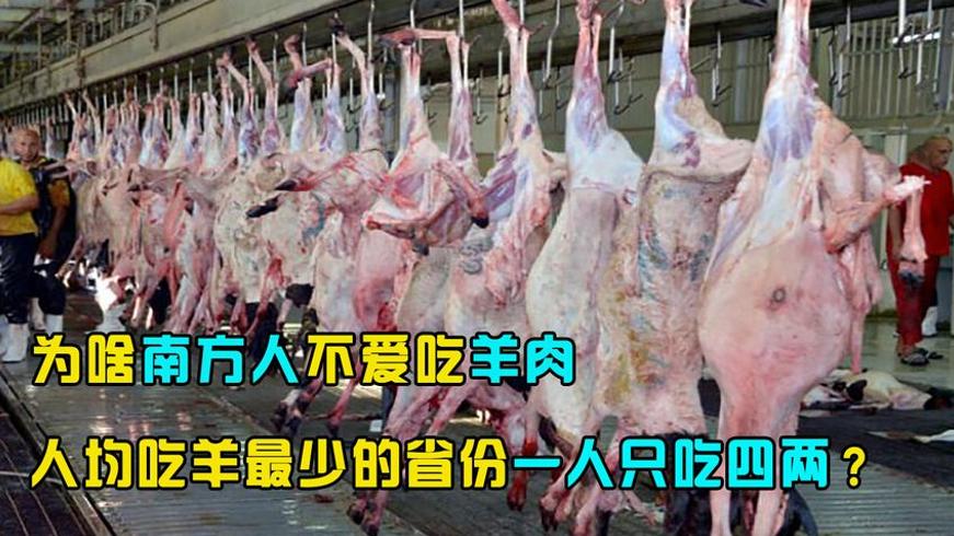 南方人一年人均吃四两羊肉？不爱吃羊肉的原因