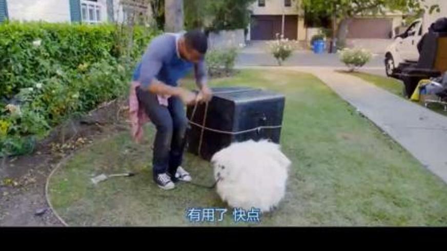 《顽皮鬼》：公寓里的人妖姐妹与鬼魂爆笑交锋