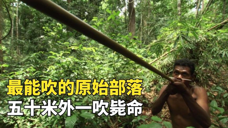 马来西亚原始部落：吹箭狩猎与雨林生存的智慧