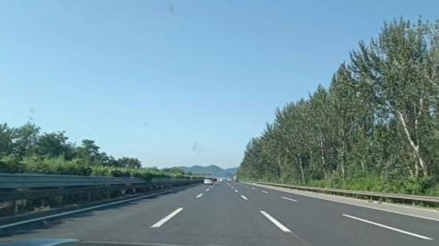 《完美感觉》：感官消逝时爱与生存的终极命题