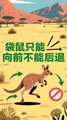 冷知识大揭秘：袋鼠为何只能勇往直前不会倒退