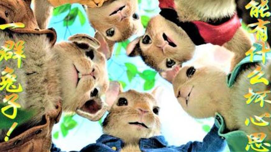 《比得兔》：一场跨越仇恨与和解的家园保卫战