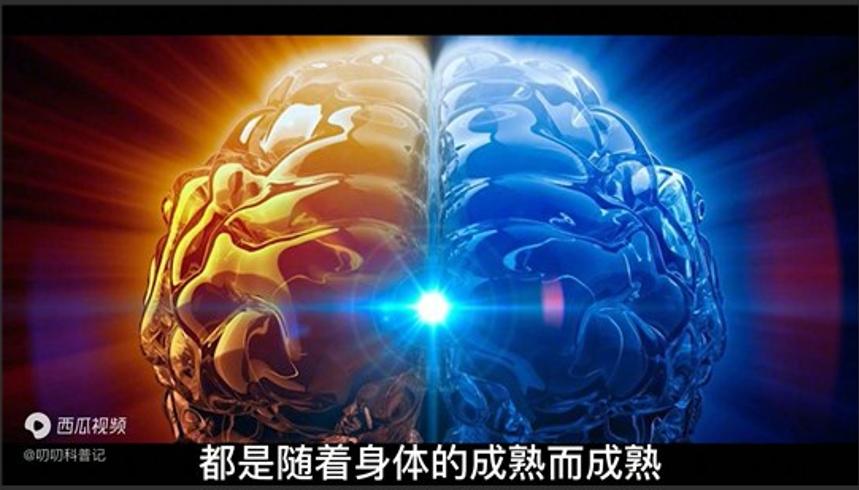 人类真有第三只眼松果体的神秘作用是什么