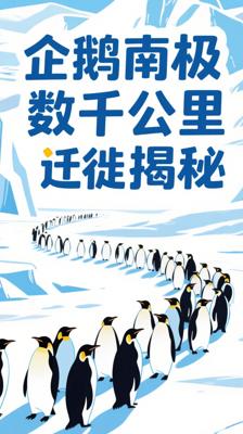 揭秘！企鹅如何完成南极大陆数千公里的史诗级迁徙