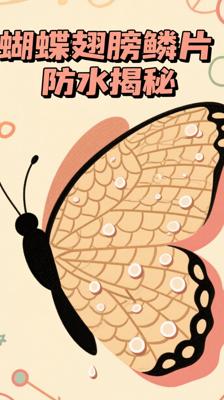揭秘蝴蝶翅膀：小小鳞片竟藏防水黑科技