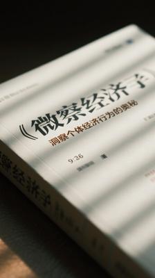 《微观经济学》：洞察个体经济行为的奥秘