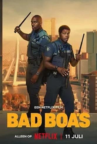 《凹凸双雄》：荷兰警探喜剧的高清免费盛宴