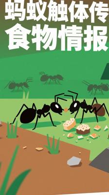 蚂蚁竟能靠身体接触传递食物情报太神奇了