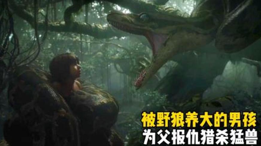 《森林之子毛克利》：在狼啸与火光间找寻归途的少年