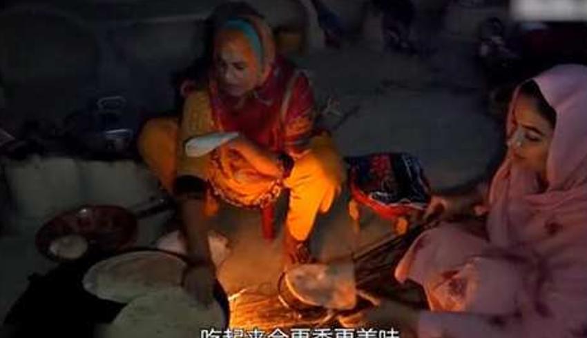 巴基斯坦农村女孩的一天：与牛羊相伴的平凡生活