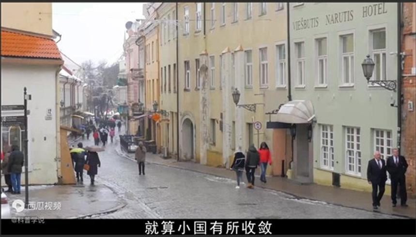 立陶宛玩火自焚六万岗位叫停幕后主使坐享其成