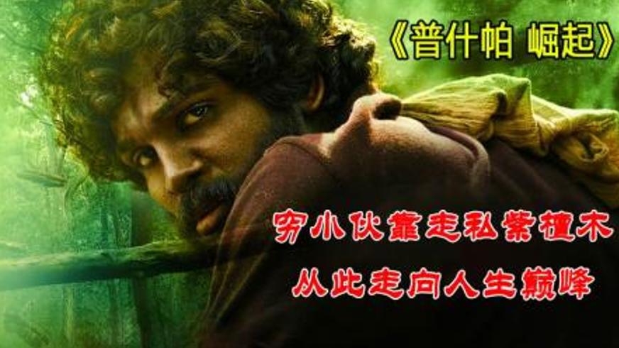 《普什帕：崛起》：紫檀木丛林里的底层逆袭传奇