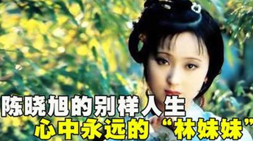 陈晓旭与林黛玉同在 临终五字让父亲断肠