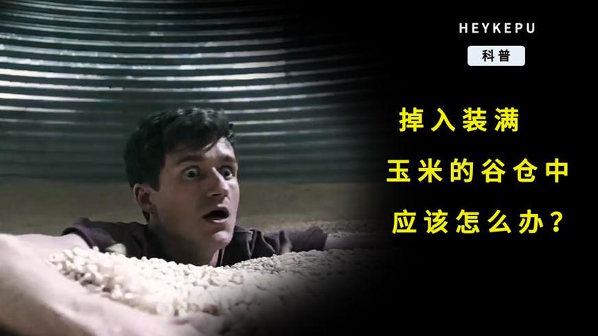 不慎掉入玉米谷仓该如何自救与救援方法解析
