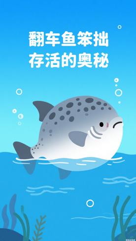 翻车鱼看似笨拙却存活至今的奥秘