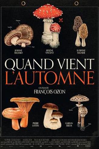 《秋日何时来》：静谧秋日下的人性真相与执念困局