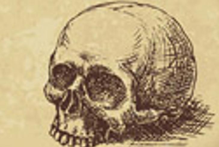 玩通灵板的女子遭遇恐怖袭击的真实经历