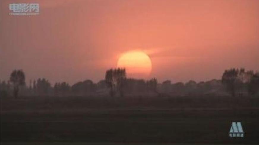 《西凉外的风车》中梅子的坚韧与自我觉醒之路