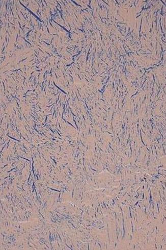 《The Extravagant Shadows》与《敢死队》的实验影像对话