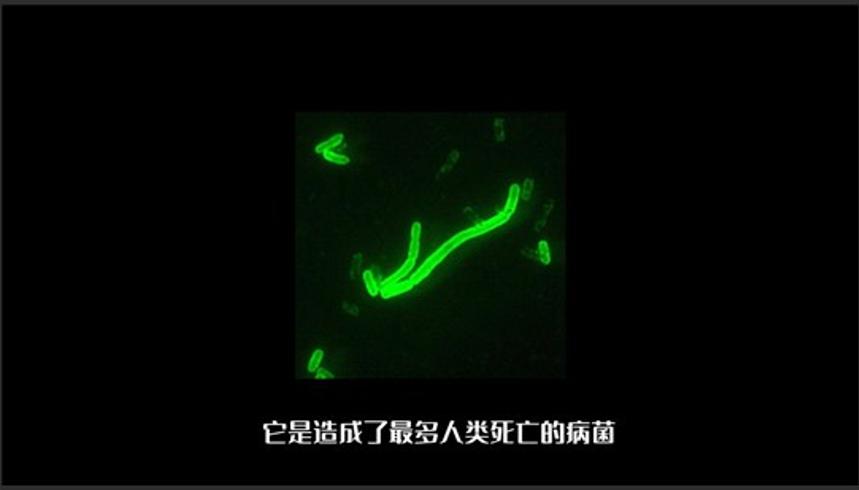 世界十大瘟疫盘点新冠仅排第七榜首太恐怖