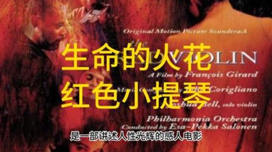 《红色小提琴》：三百年漂泊中承载的爱与宿命