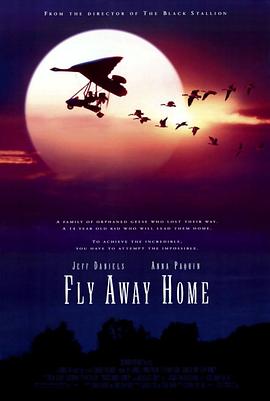 伴你高飞 Fly Away Home_电影