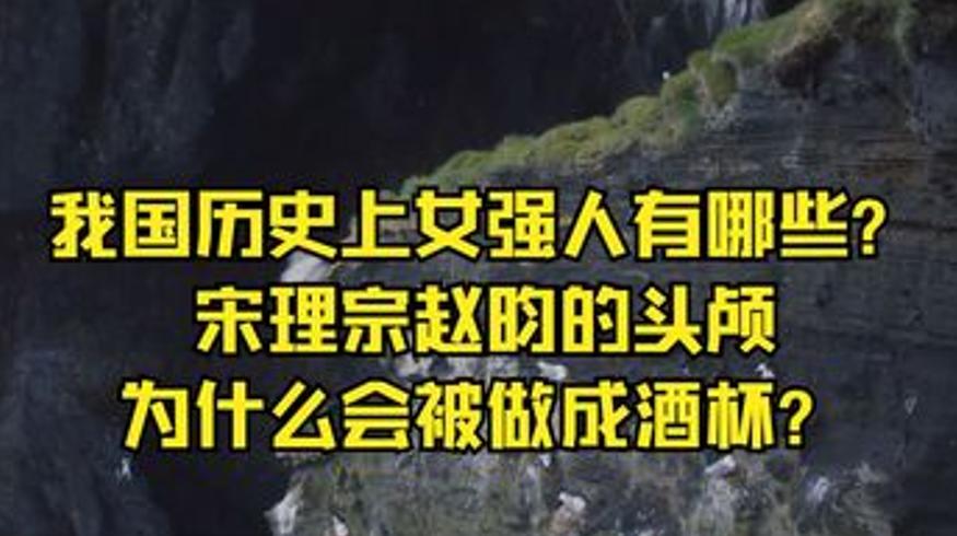 中国历史奇闻录女强人秘事与帝王悲歌