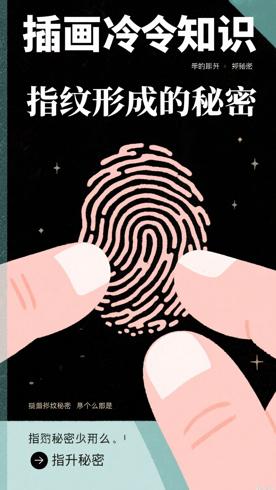 指纹形成的秘密你知道多少呢