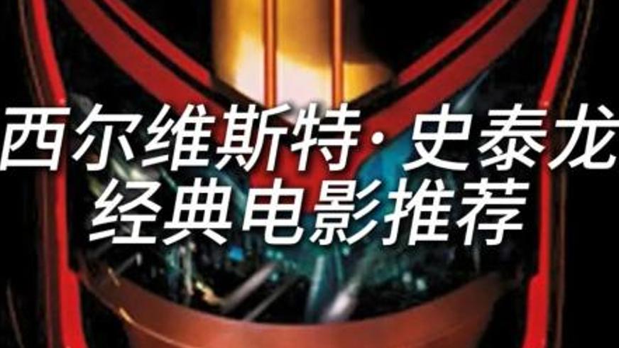 《特警判官》：未来都市中的铁血执法与人性试炼