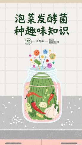 泡菜发酵菌种的那些趣味冷知识