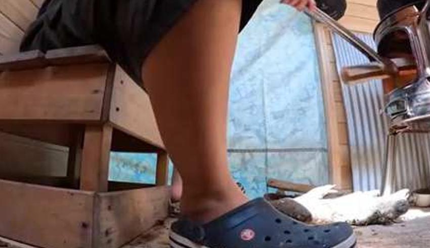 日本女大学生若菜休学乡下生活纪录故事