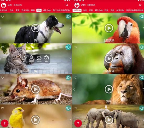 动物手机铃声v20.0高级版：自然之声伴你日常