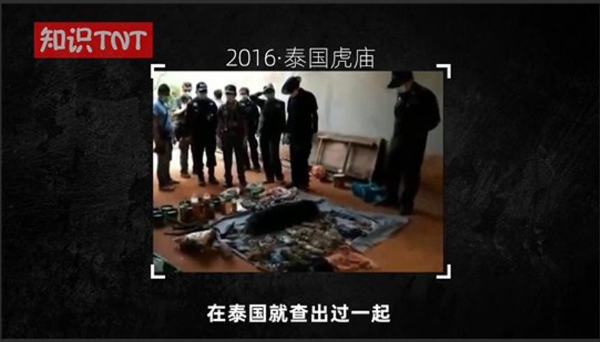 老挝野味菜市场探秘：像逛动物园的奇特交易地