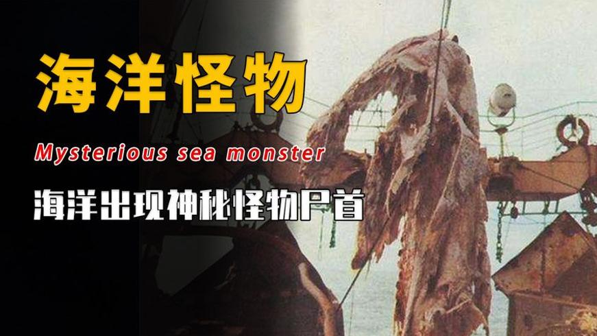 日本捕获的神秘海洋生物是蛇颈龙还是新物种