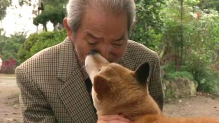 《向日葵与幼犬的 7 天》：一场跨越物种的温情救赎