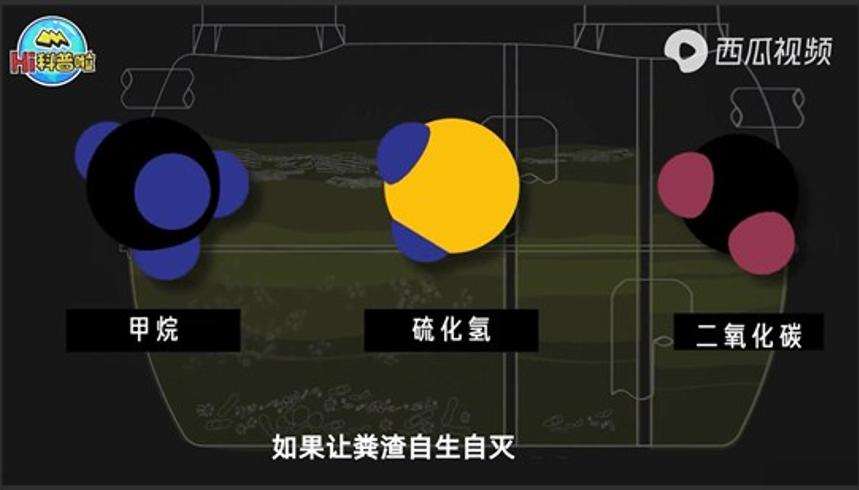 中国人每日240万吨排泄物的旅程：从产生到回归
