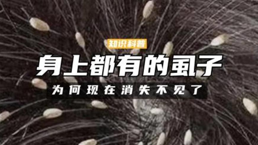 《消失的虱子：从常见困扰到悄然退场》