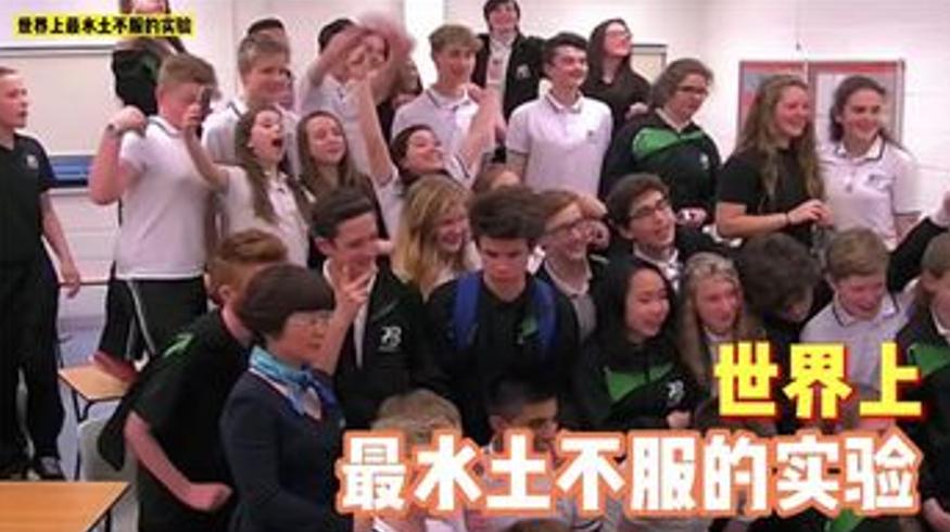 外国孩子体验中式教育这场实验为何水土不服