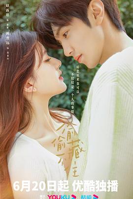 偷偷藏不住_剧集